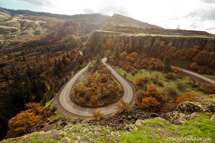 Rowena Crest Tom Mccall Nature Preserve in Oregon // localadventurer.com