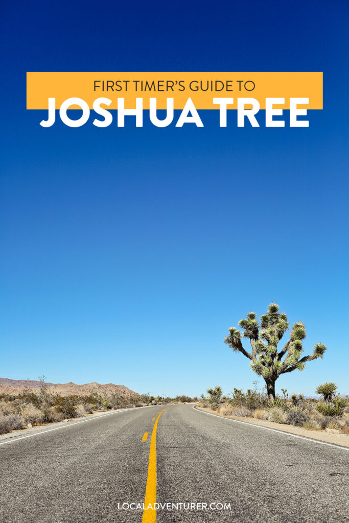 11 Amazing Things to Do in Joshua Tree National Park - First Timer's Guide and Tips