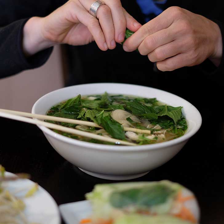 Wild Ginger Chicken Pho (49 Best Places to Eat in Asheville - Ultimate Asheville Food Bucket List) // localadventurer.com