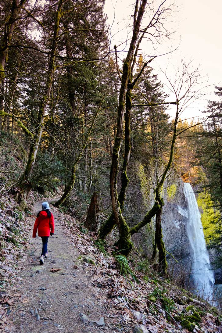 Latourell Falls at Guy Talbot State Park is the first waterfall you’ll come across as you enter the Columbia Gorge from Portland. It's an easy waterfall hike and only 30 minutes away from the city. // localadventurer.com