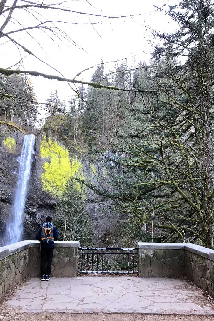 Latourell Falls is the first waterfall you’ll come across as you enter the Columbia Gorge from Portland. It's an easy waterfall hike and only 30 minutes away from the city. // localadventurer.com