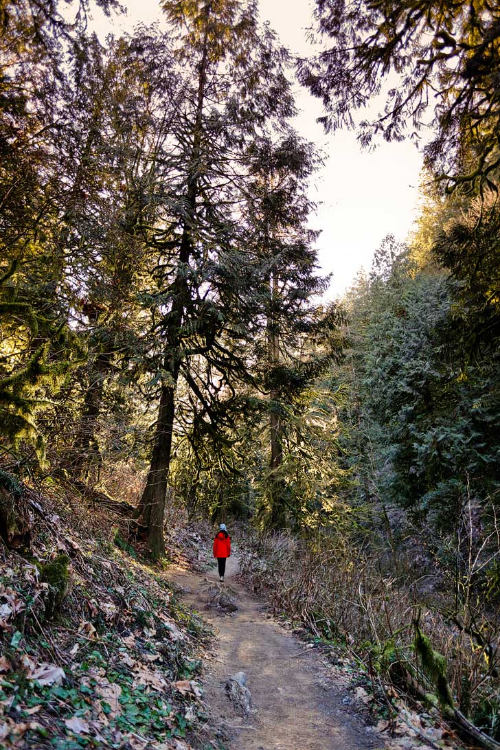 Upper Latourell Falls at Guy Talbot State Park is the first waterfall you’ll come across as you enter the Columbia Gorge from Portland. It's an easy waterfall hike and only 30 minutes away from the city. // localadventurer.com