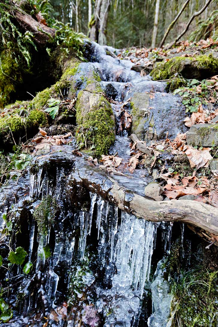 Upper Latourell Falls at Guy Talbot State Park is the first waterfall you’ll come across as you enter the Columbia Gorge from Portland. It's an easy waterfall hike and only 30 minutes away from the city. // localadventurer.com