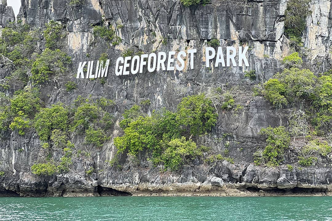 Kayaking through mangrove trees in Kilim Geoforest Park Langkawi. We learned so much about the plants and animals that inhabit the island