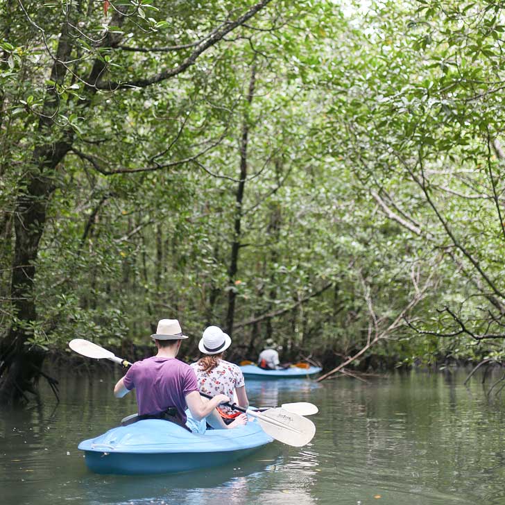 Kayaking through mangrove trees in Kilim Karst Geoforest Park. We learned so much about the plants and animals that inhabit the island // localadventurer.com