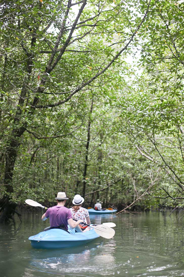 Kayaking through mangrove trees in Kilim Karst Geoforest Park. We learned so much about the plants and animals that inhabit the island // localadventurer.com