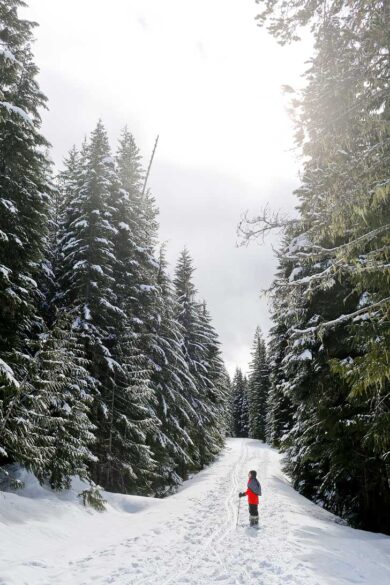 Everything You Need To Know About Trillium Lake Snowshoeing