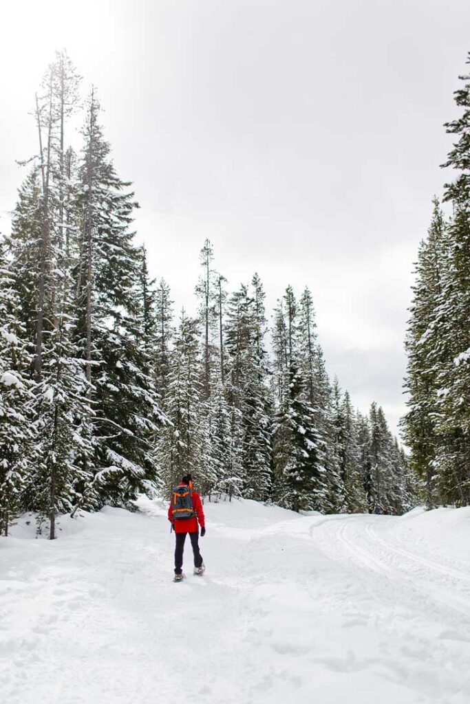 Everything You Need to Know About Trillium Lake Snowshoeing