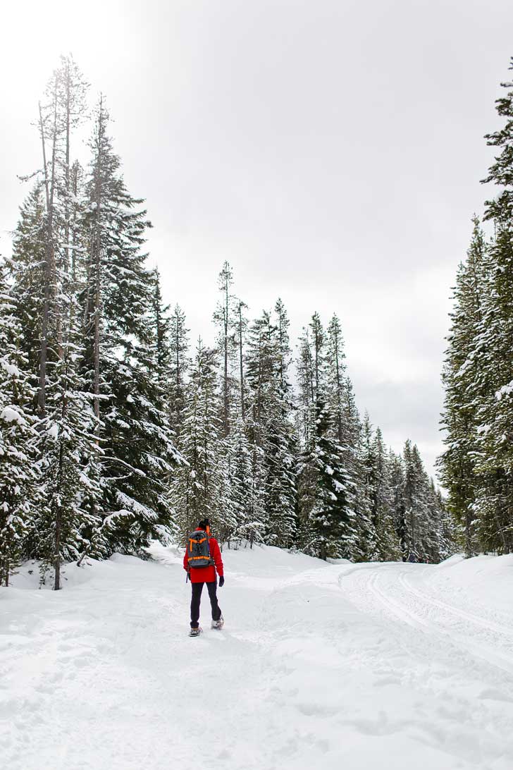 Snowshoeing Trillium Lake - Trillium Lake is a great spot for beginners. You get an amazing view of Mt Hood on clear days. Check out our guide for everything you need to know. // localadventurer.com