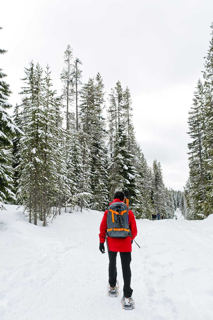 Trillium lake snowshoe on sale trail