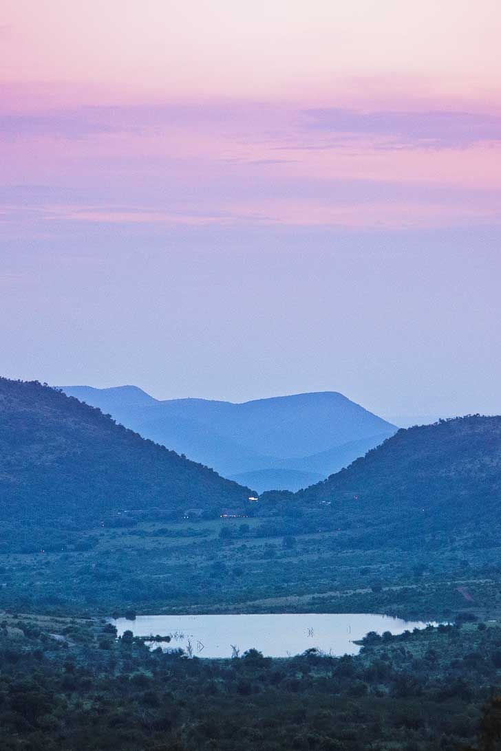 Pilanesberg Reserve with Go SAfari - an Amazing Day Trip from Johannesburg South Africa // localadventurer.com