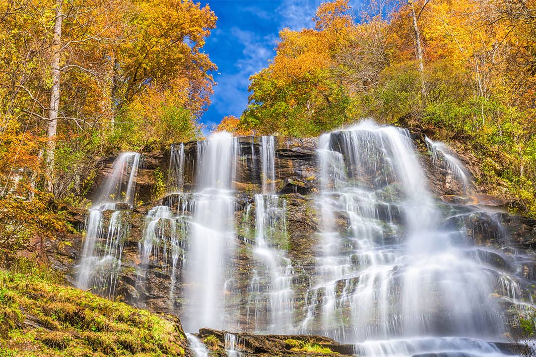 15 Best Day Trips From Atlanta Georgia Local Adventurer   Amicalola Falls Hike 