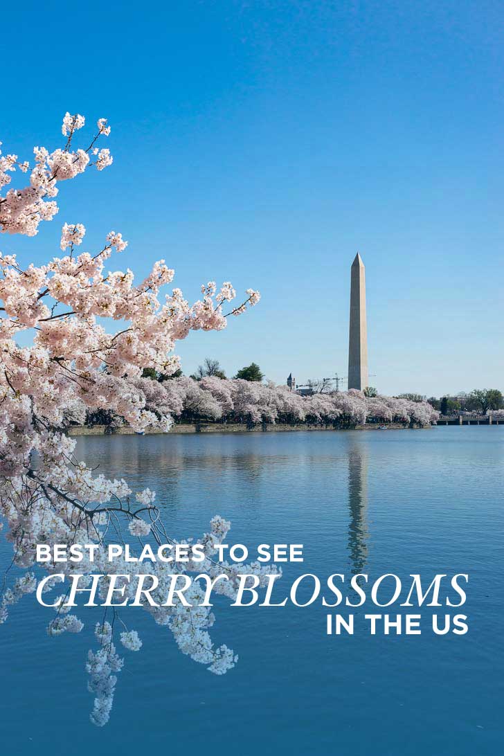 Places to see cherry blossoms near Jersey City NJ