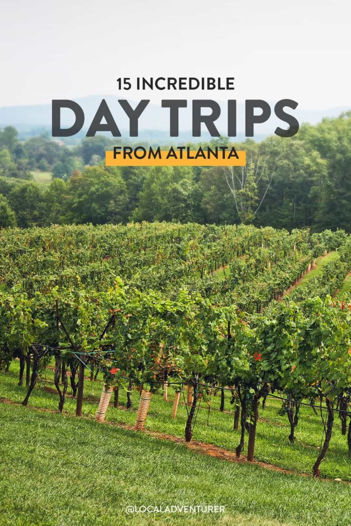 ga day trips for toddlers