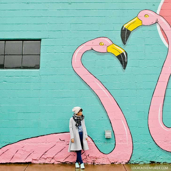 Flamingos at Pie Spot Portland Oregon + Guide to the Best Murals in Portland Oregon // localadventurer.com