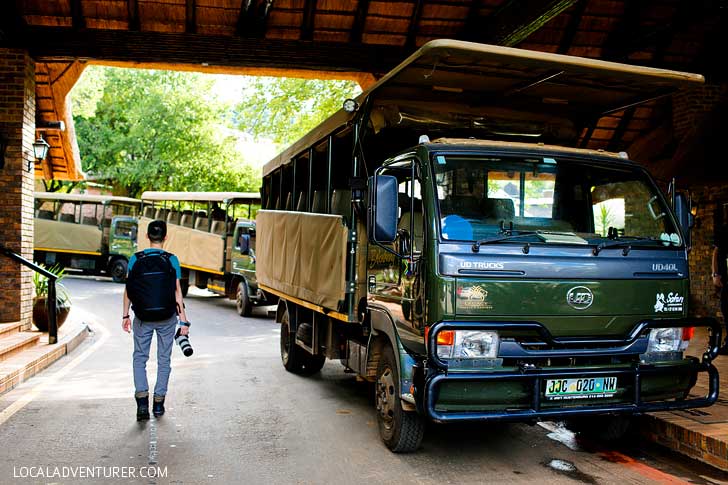 Pilanesberg Safari - an Amazing Day Trip from Johannesburg South Africa // localadventurer.com