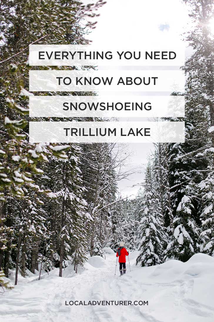 Snowshoeing Trillium Lake - If you're new to snowshoeing, you need to check out Trillium Lake. You can go cross country skiing to get to Trillium Lake. // localadventurer.com