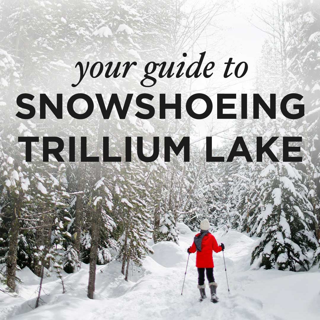 Trillium Lake Snowshoeing - This is one the best beginner spots for snowshoeing near portland. It's only an hour away and in the Mt Hood Territory. Check out our guide. // localadventurer.com