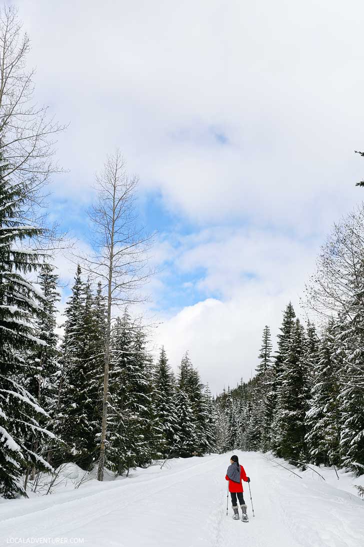 Snowshoeing Trillium Lake - Trillium Lake is a great spot for beginners. You get an amazing view of Mt Hood on clear days. Check out our guide for everything you need to know. // localadventurer.com