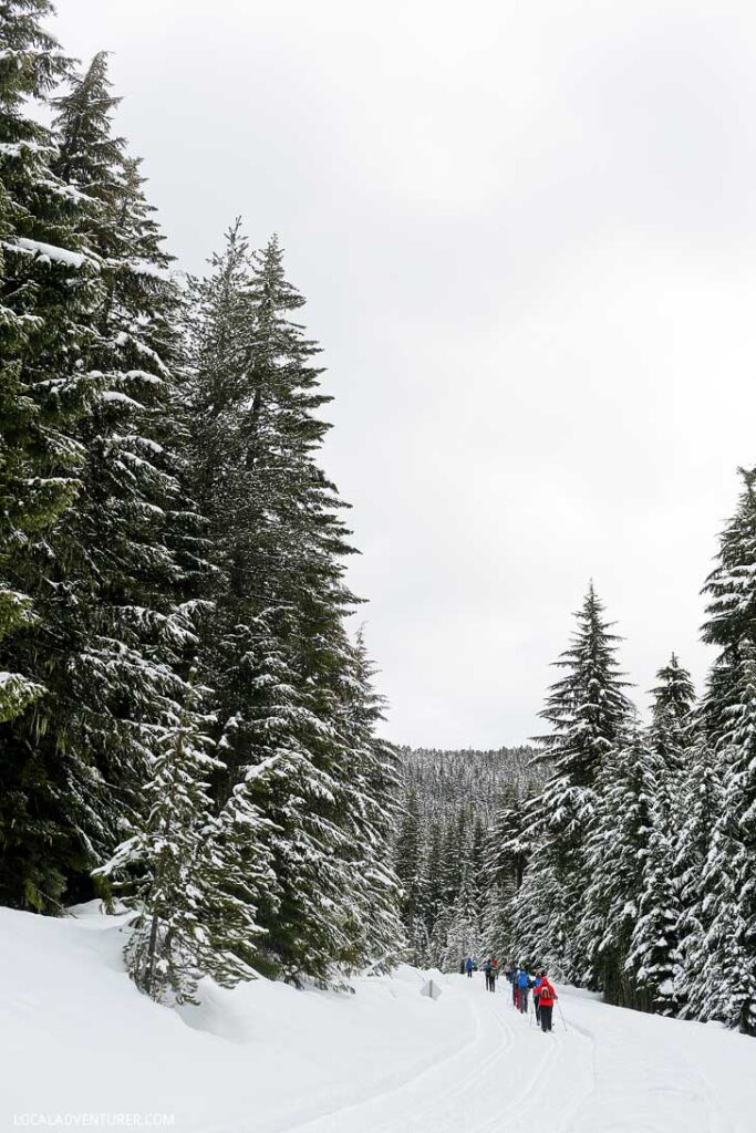 Everything You Need to Know About Trillium Lake Snowshoeing