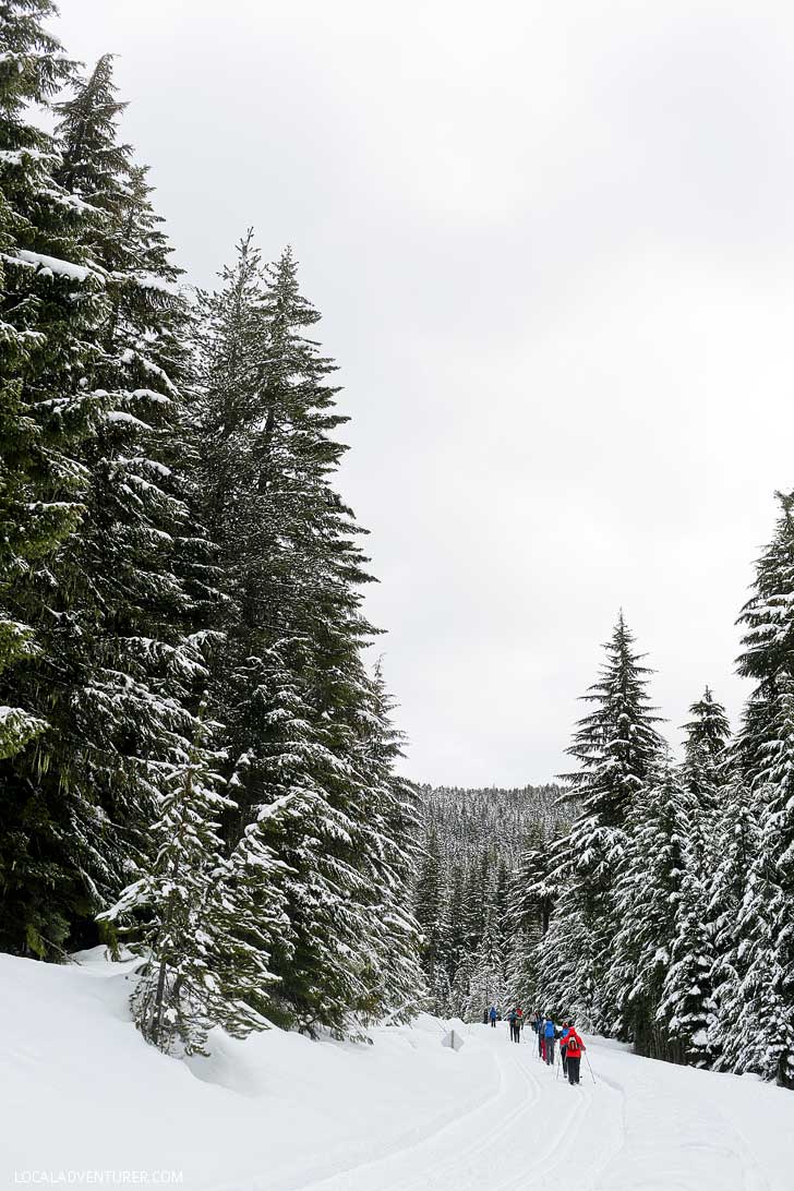 Snowshoeing Trillium Lake - Trillium Lake is a great spot for beginners. You get an amazing view of Mt Hood on clear days. Check out our guide for everything you need to know. // localadventurer.com