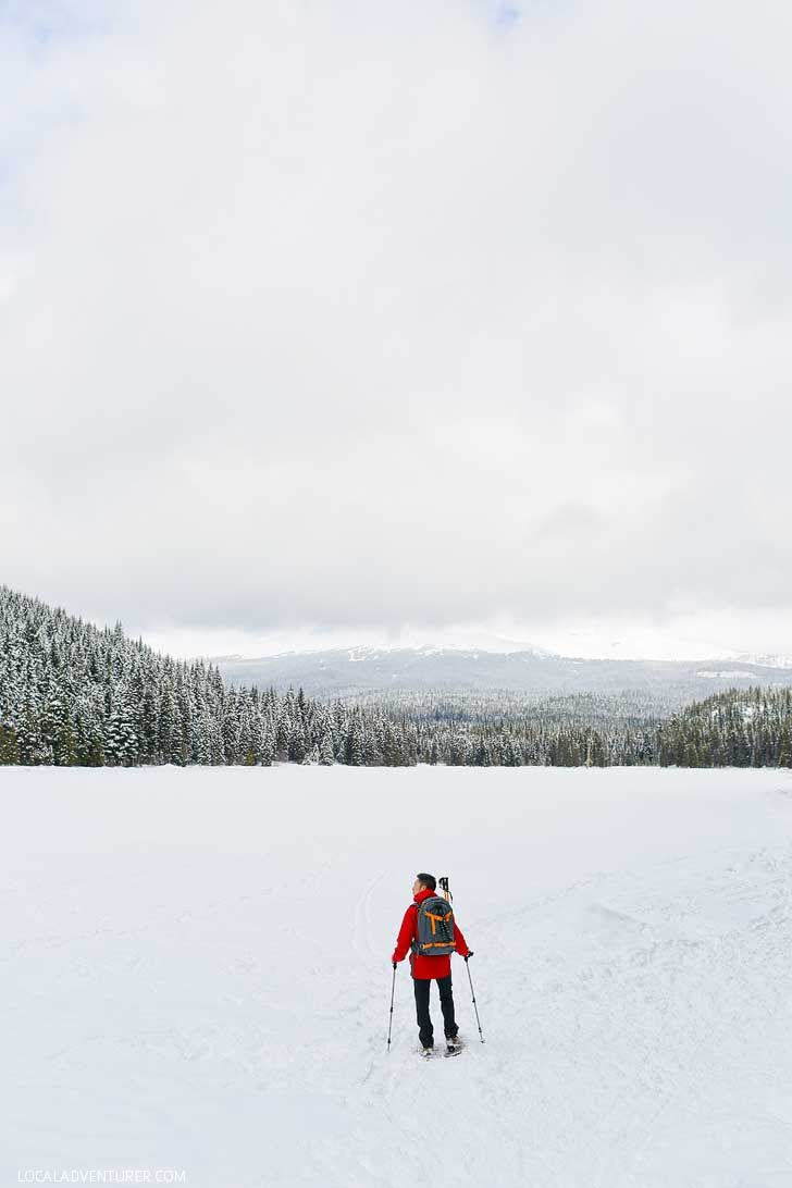 Snowshoeing Trillium Lake - If you're new to snowshoeing, you need to check out Trillium Lake. You can go cross country skiing to get to Trillium Lake. // localadventurer.com