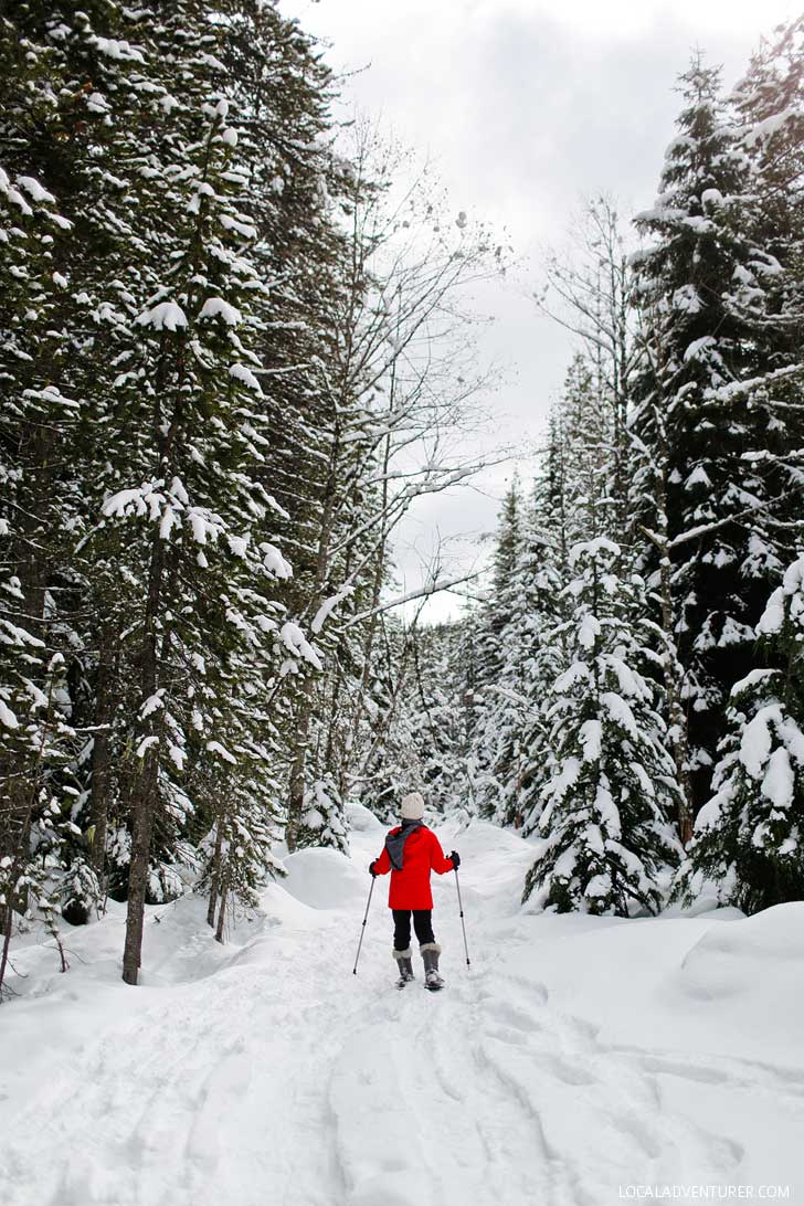 Trillium Lake Snowshoeing - This is one the best beginner spots for snowshoeing near portland. It's only an hour away and in the Mt Hood Territory. Check out our guide. // localadventurer.com