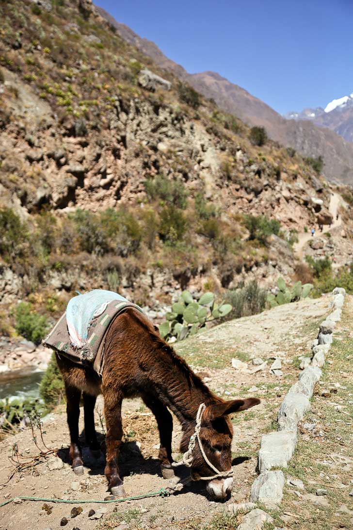 Hiking Peru - How to Hike the Inca Trail Day 1 // localadventurer.com