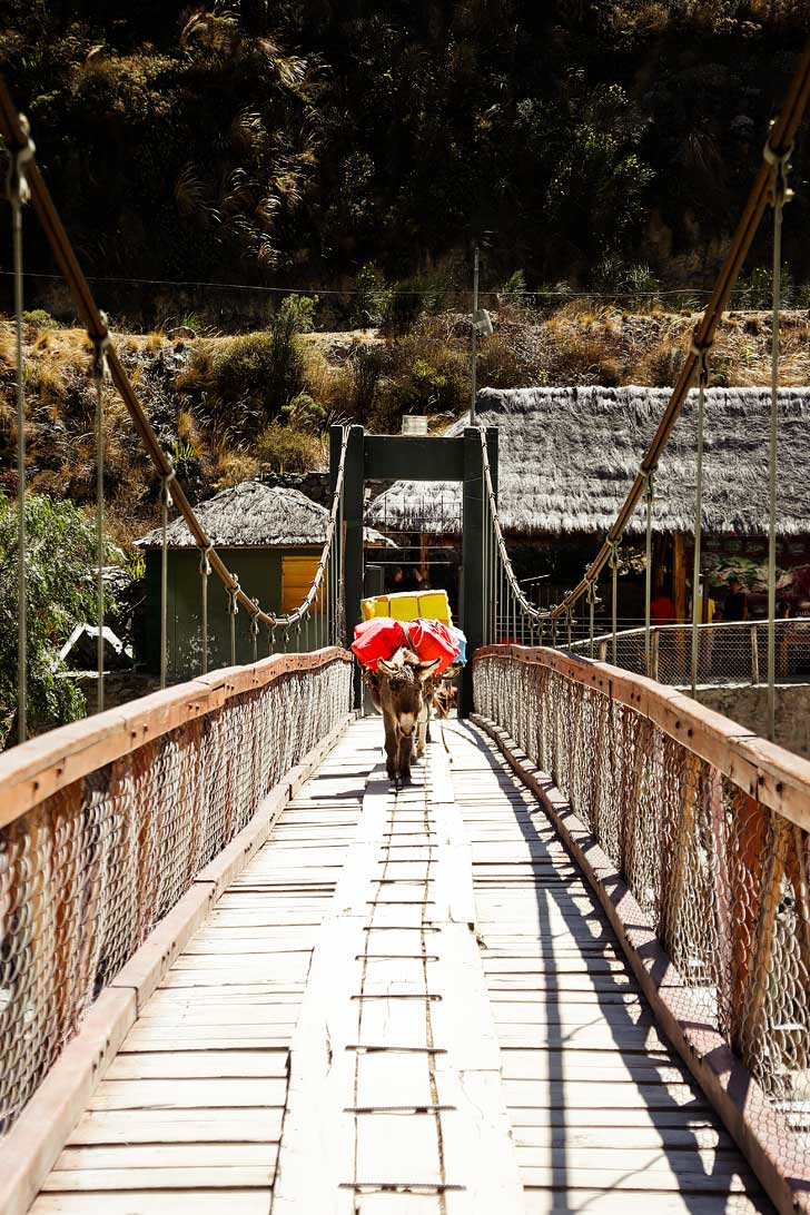 Hiking Peru - How to Hike the Inca Trail Day 1 // localadventurer.com