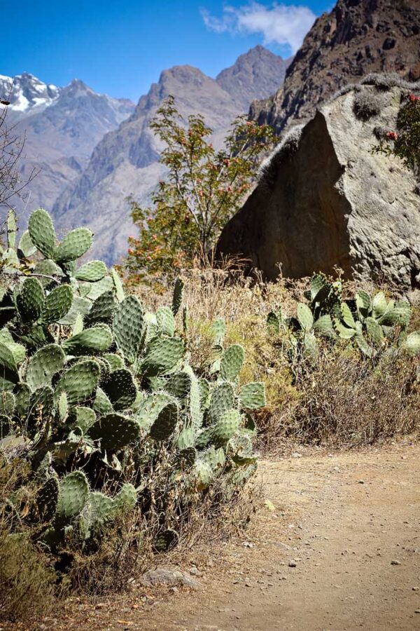 How To Hike The Inca Trail