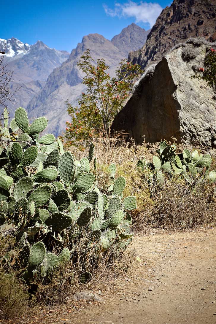 Hiking the Inka Trail in Peru - Photo Guide to Day 1 // localadventurer.com