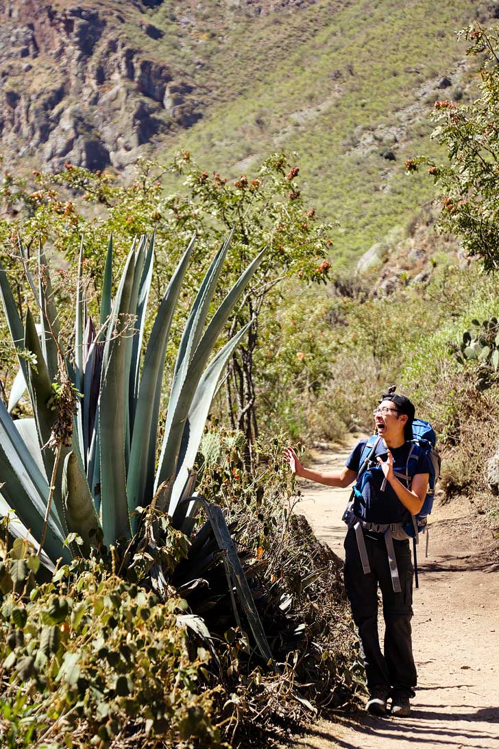 Inca Trail Photos and Travelogue // localadventurer.com