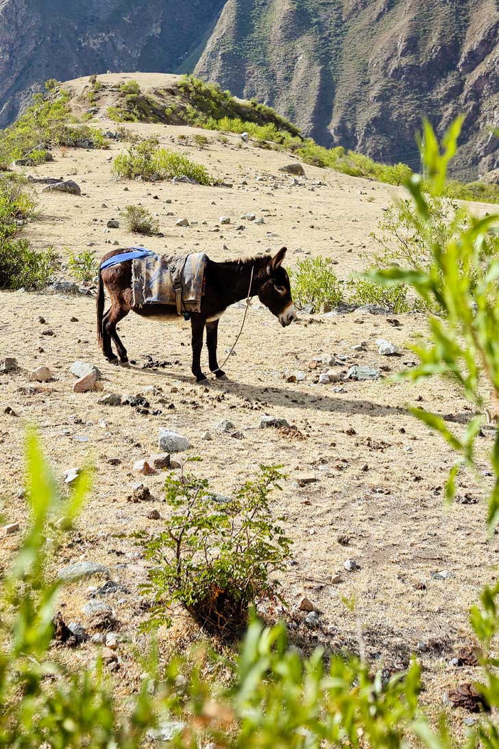 How to Hike the Inca Trail Day 1 // localadventurer.com