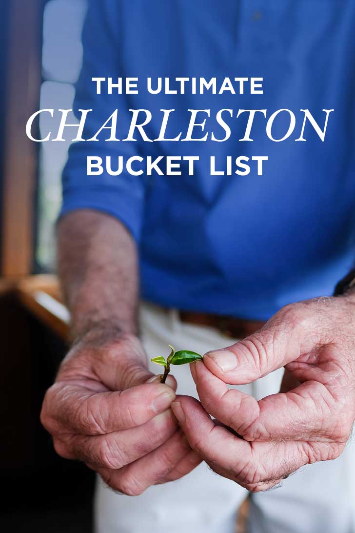 The Ultimate Charleston Bucket List (101 Things to Do in Charleston SC) // localadventurer.com