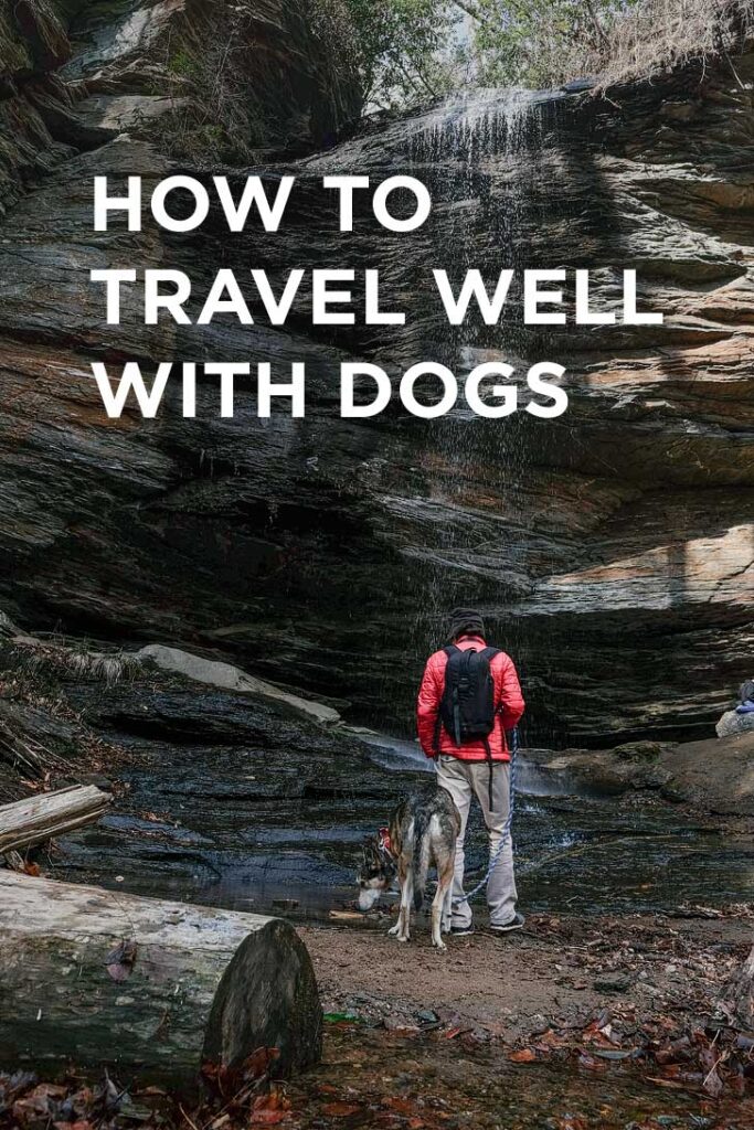 How to Travel with a Dog - Essential Dog Travel Tips // localadventurer.com