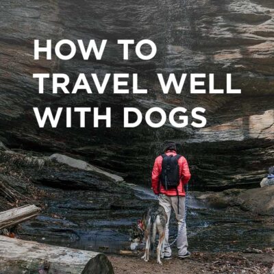 How to Travel with a Dog - Essential Dog Travel Tips // localadventurer.com