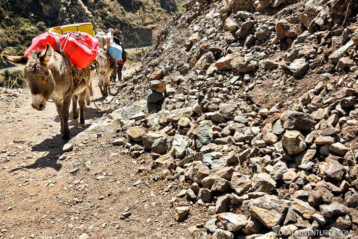 How to Hike the Inca Trail Peru // localadventurer.com