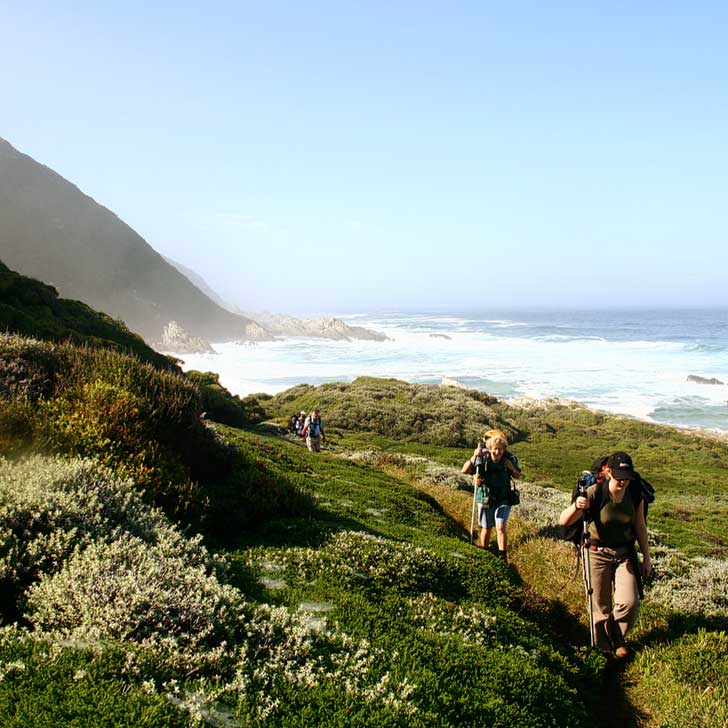 The Otter Trail South Africa + 25 Best Backpacking Trips in the World to Put on Your Bucket List (photo: Roger Gordon) // localadventurer.com