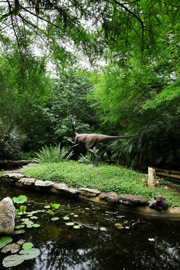 Zilker Botanical Garden + 101 Things to Do in Austin Texas - The Ultimate Austin Bucket List // localadventurer.com