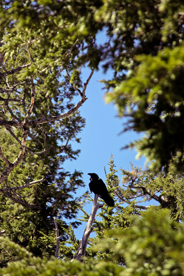 Best Things to See at Crater Lake National Park // localadventurer.com