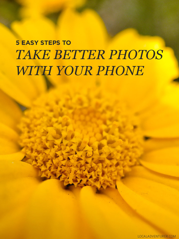 5 Quick and Easy iPhone Photography Tips // localadventurer.com