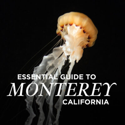 Essential Guide to Monterey California // localadventurer.com