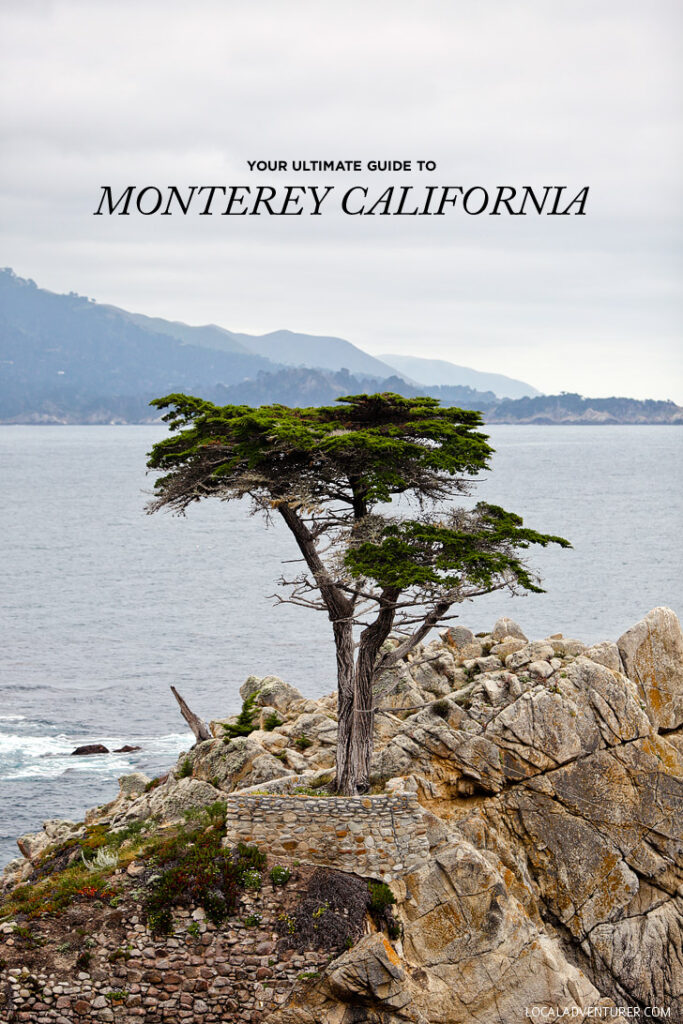Heading to the Monterey Peninsula. You don't want to miss these 15 things to do in Monterey CA. It's also a great home base for exploring Big Sur // localadventurer.com