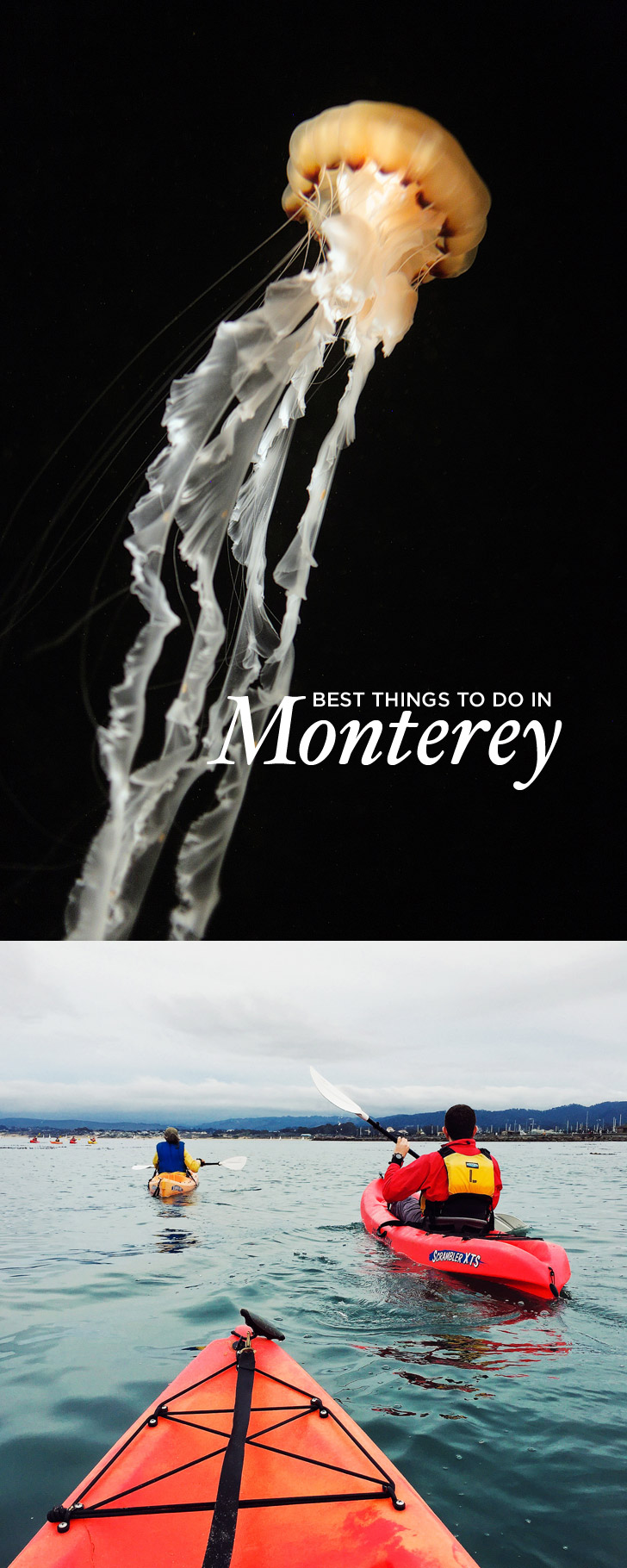 Heading to the Monterey Peninsula. Here's what to do in Monterey CA. It's also a great home base for exploring Big Sur // localadventurer.com