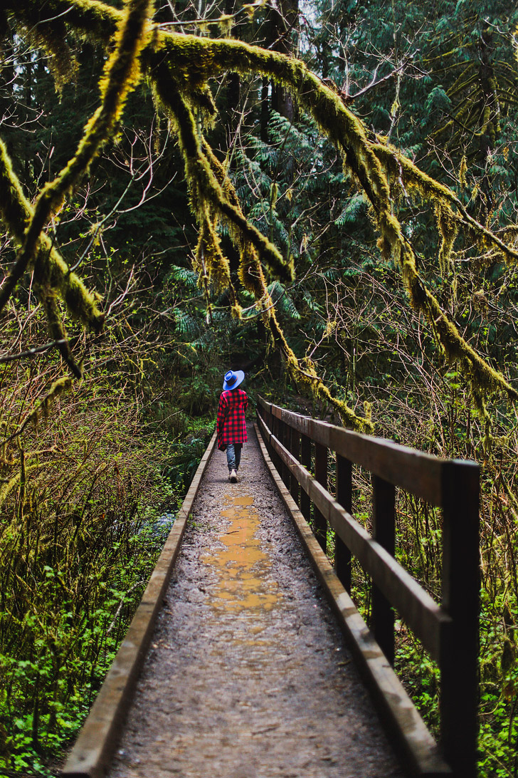 Photo Guide to Drift Creek Falls Trail, Lincoln City, Oregon Coast // localadventurer.com