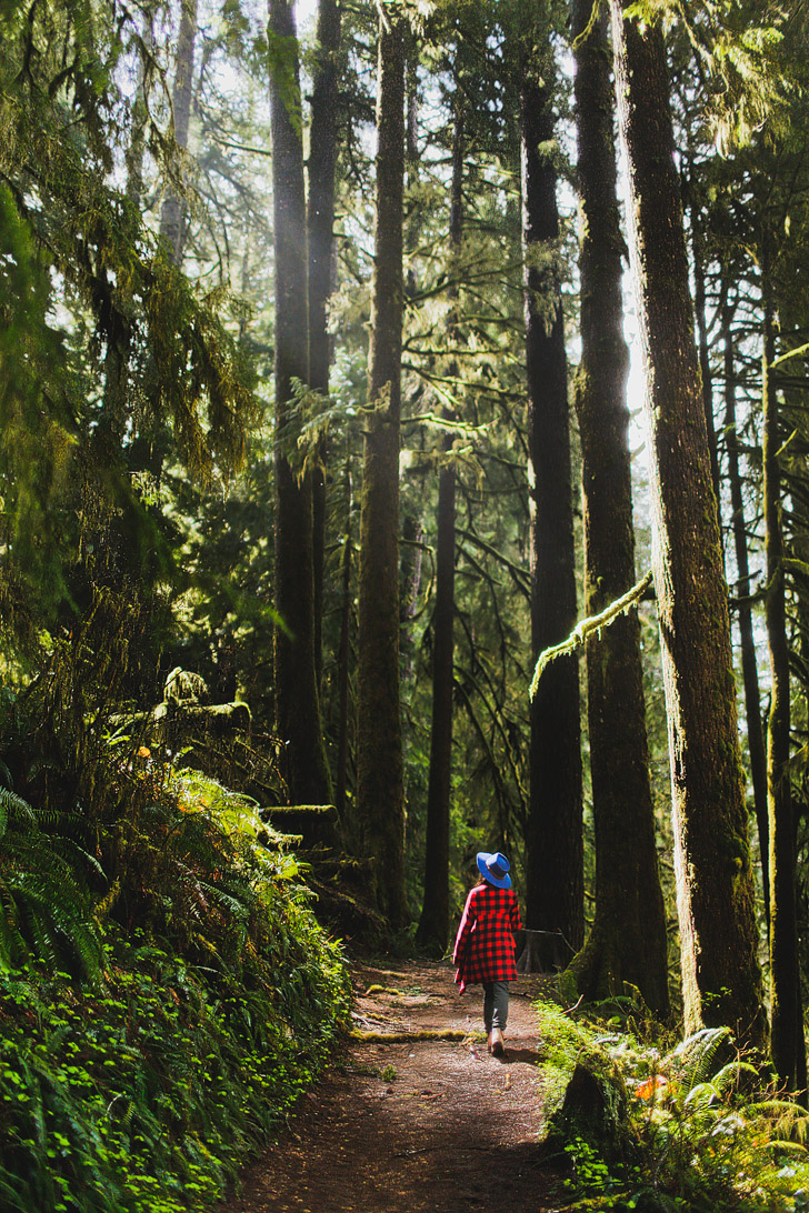 Drift Creek Falls Hike, Lincoln City, Oregon Coast // localadventurer.com