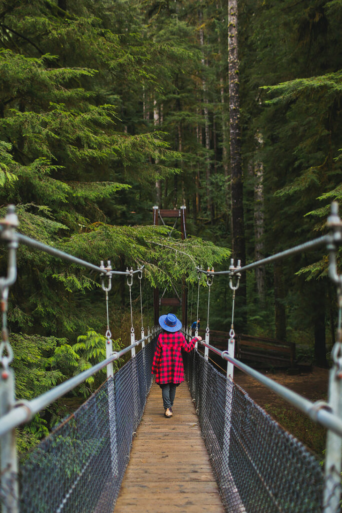 Drift Creek Falls Hike - Lincoln City, Oregon Coast Local Adventurer