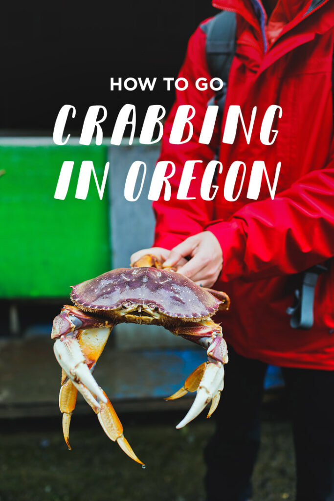 How to Go Crabbing in Oregon - All the essential tips and where to go // localadventurer.com