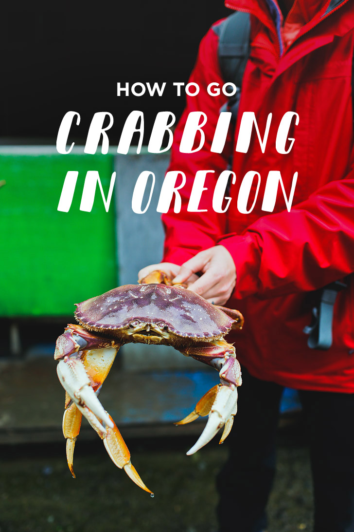 Crabs: Bait, catch, cook, enjoy - Rivah Visitor's Guide