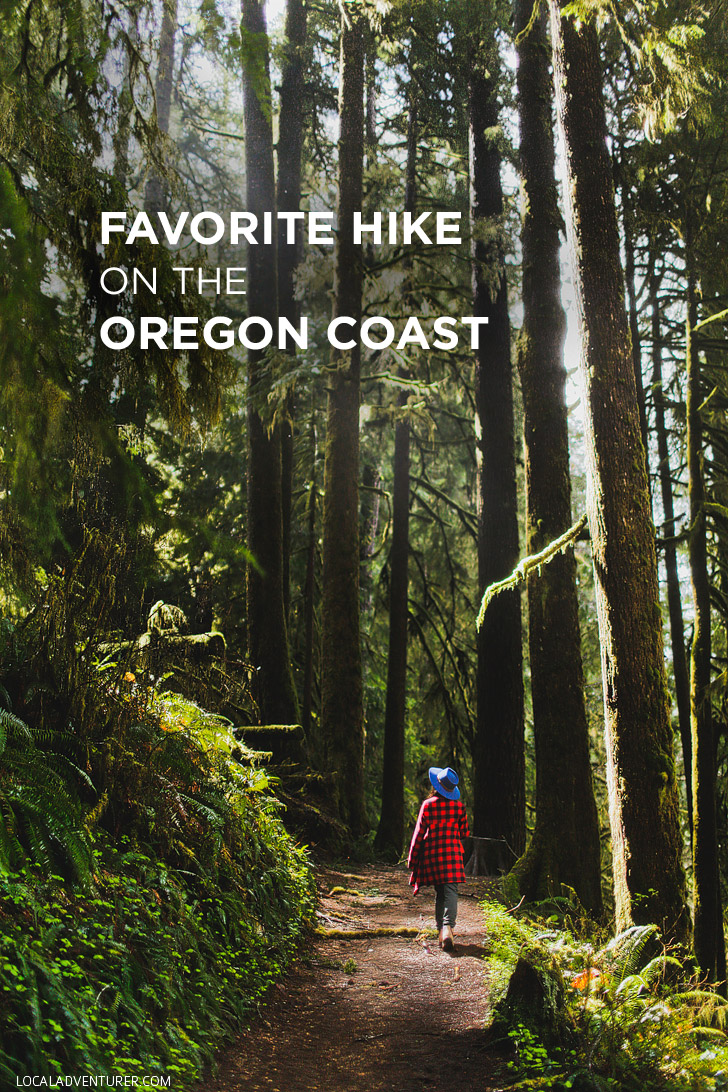 Amazing Hike on the Oregon Coast - Photo Guide to Drift Creek Falls Hike, Lincoln City // localadventurer.com